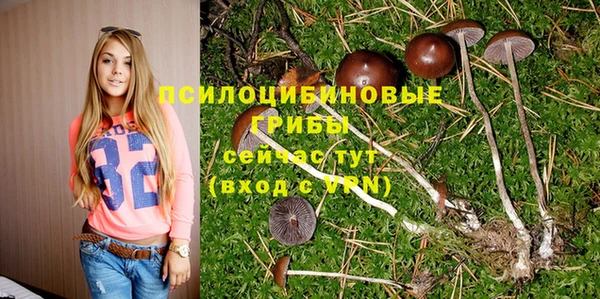 мефедрон Нефтегорск