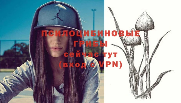 стаф Алапаевск